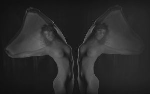 Art nude
